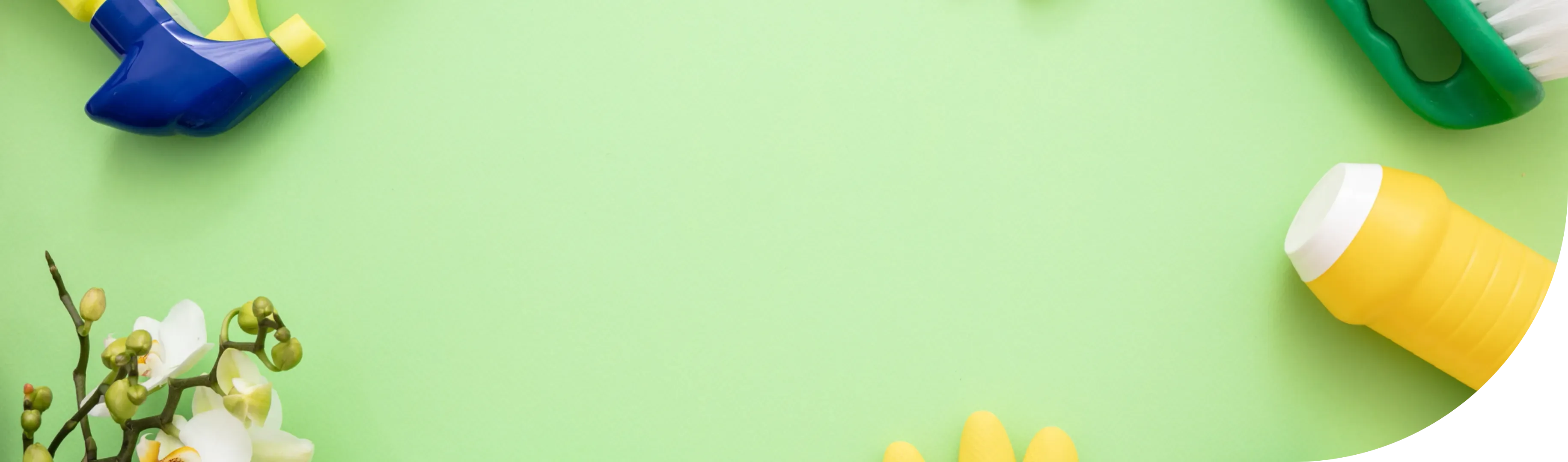 ¿Por qué escoger los líquidos de limpieza de Profit Green?